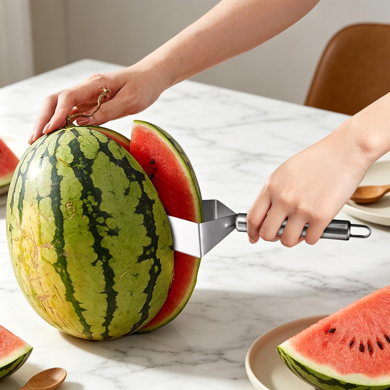 stainless steel Watermelon sli - Men Accessories Shop ulasan dan harga